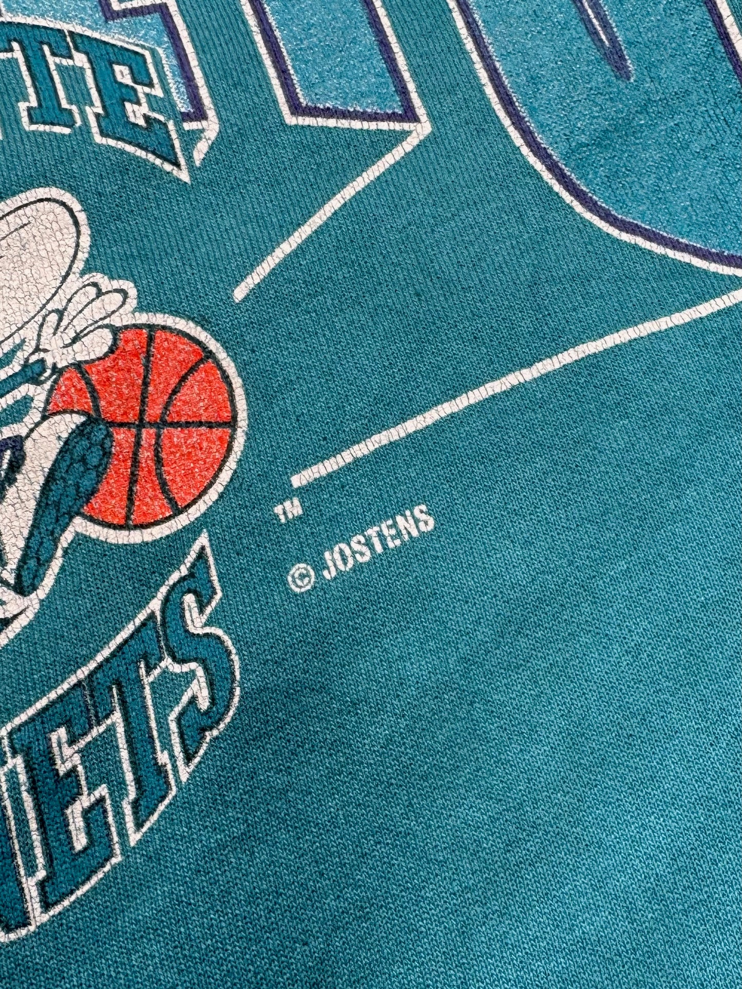 1990S - CHARLOTTESVILLE HORNETS SWEATSHIRT