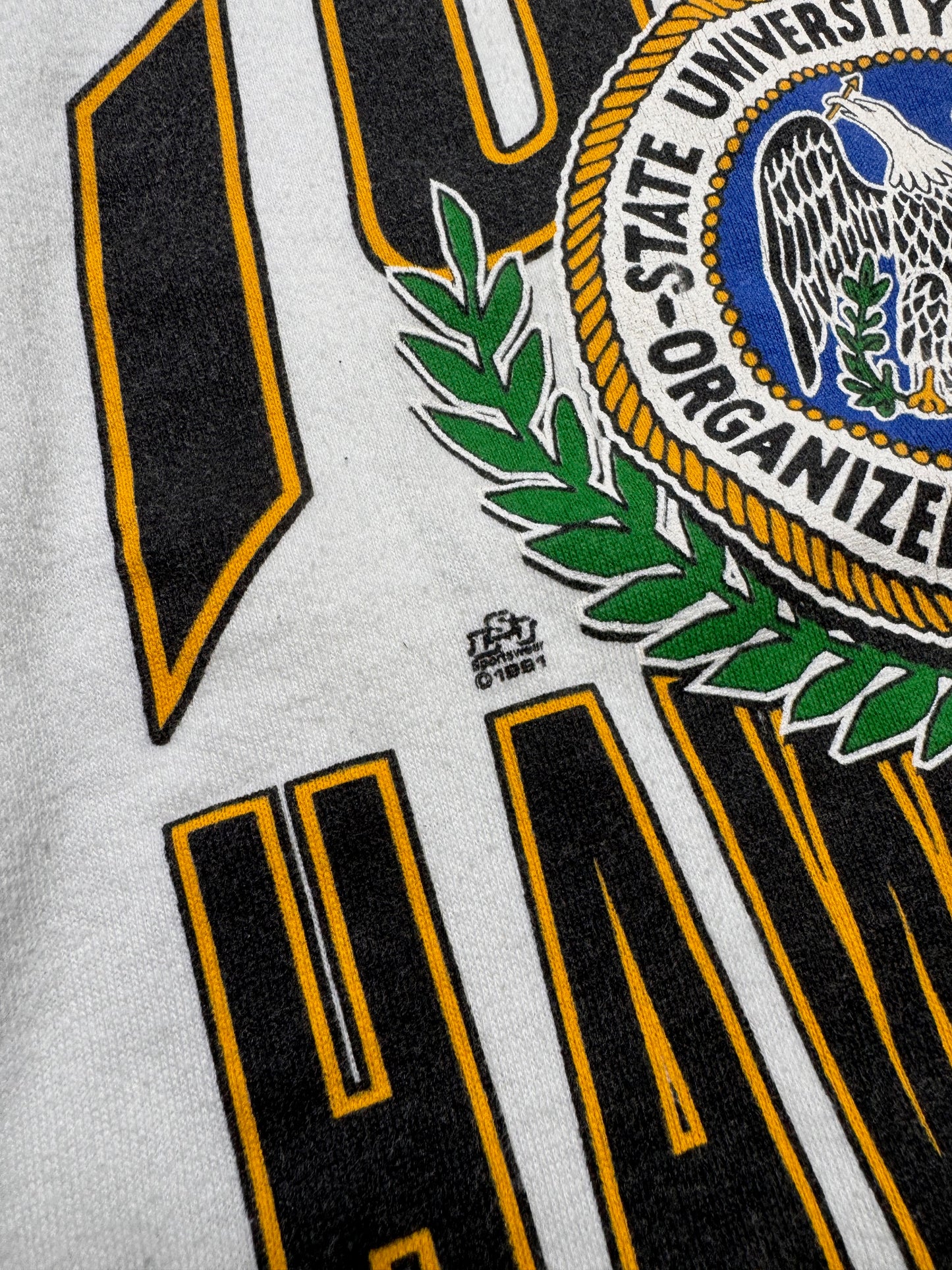 1991 - IOWA HAWKEYES CREWNECK