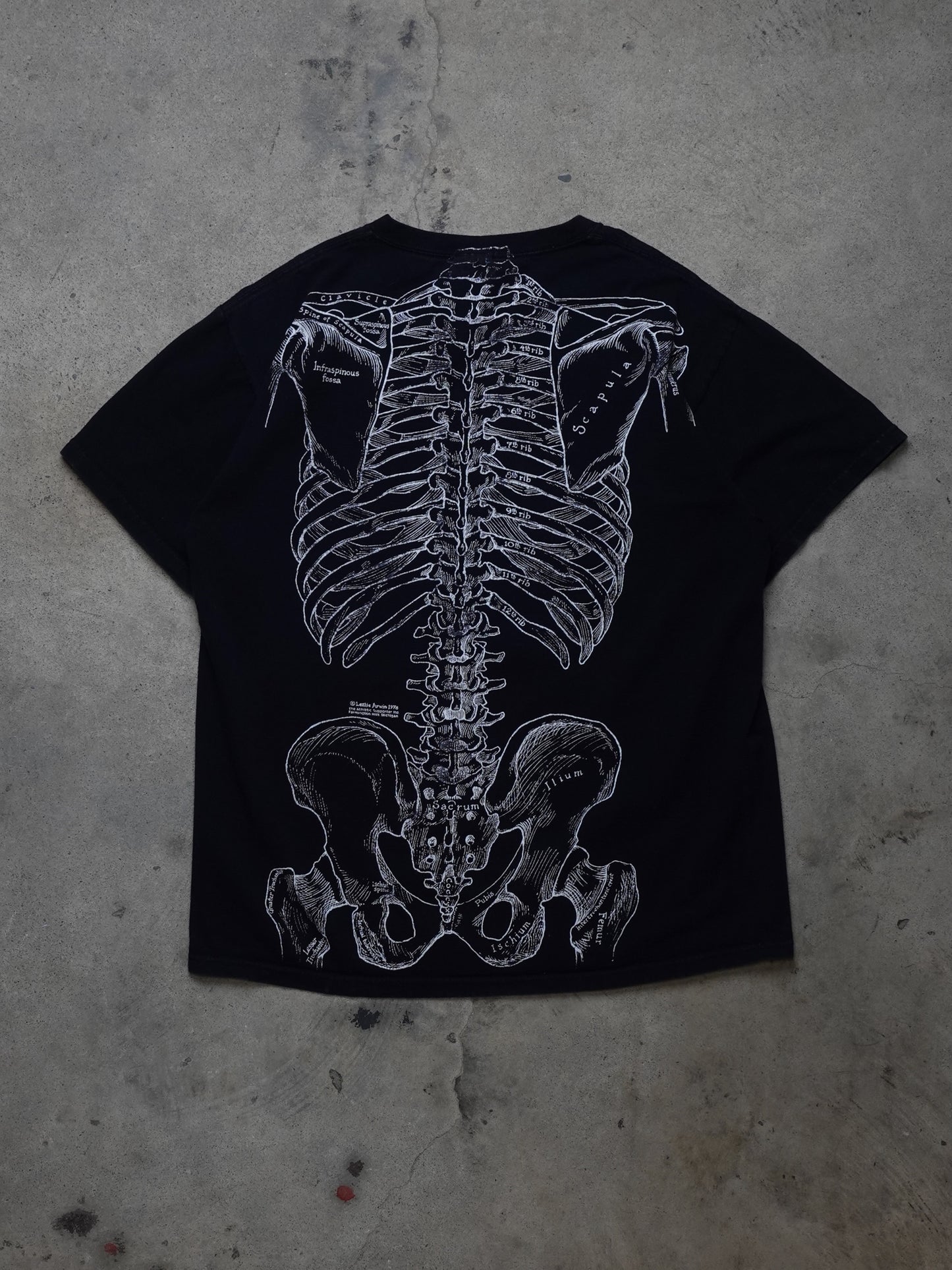 1990S/2000S - Skeleton Bones X-Ray Leslie Arwin Artwork T-Shirt